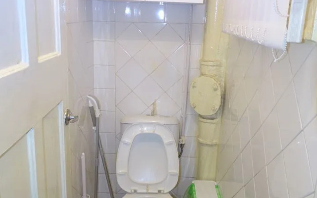 2-X Komnatnaya V Tsentpe Goroda Flat