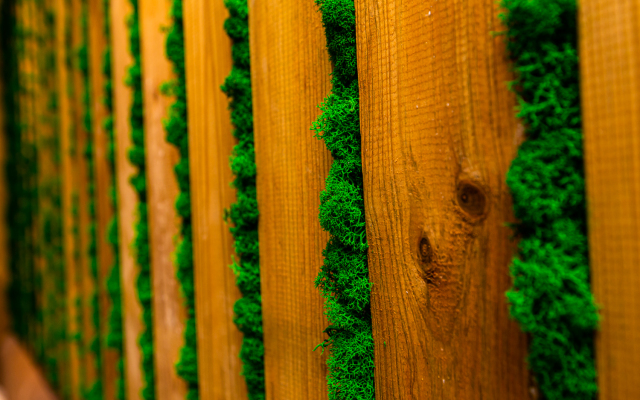 Апартаменты ЖК Ландыши 209/1