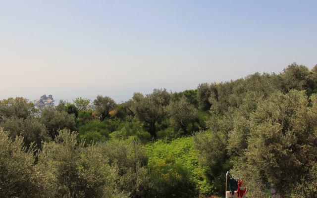 Romantic sea View Apartment in Petrovac Apartments