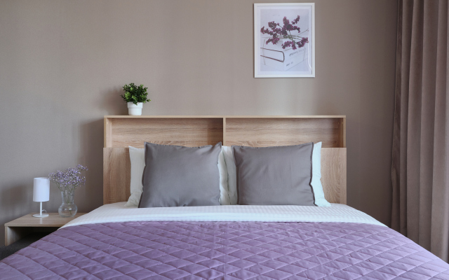 Апартаменты Studio Velvet