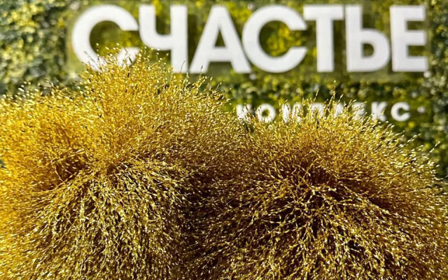 Квартира Живи Тут 89