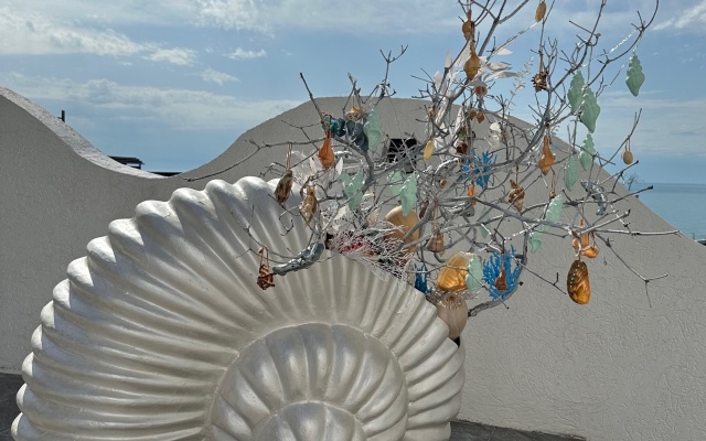 Apartment Seashell