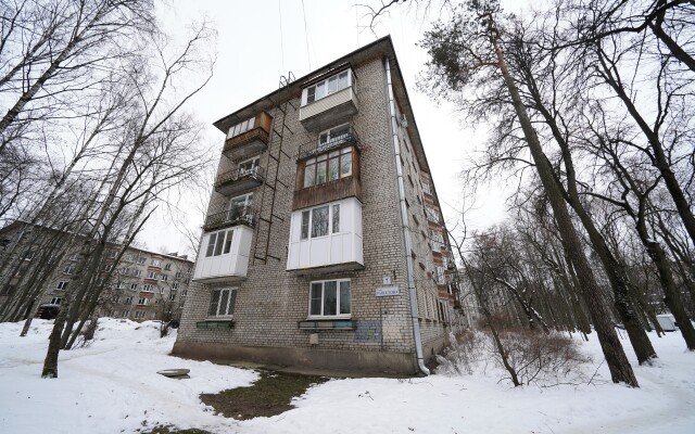 Na Rashetova VPiter Na Sutki Apartments
