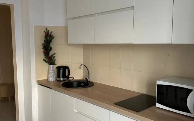 Flat Odnokomnatnaya Kolpino