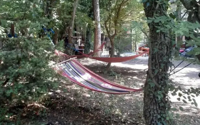 Paradise