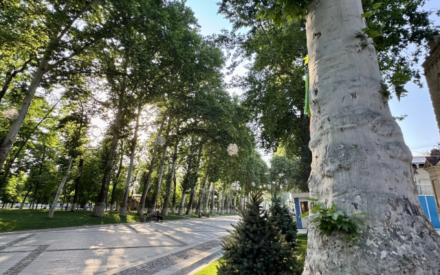 Aliz Boulevard Hotel