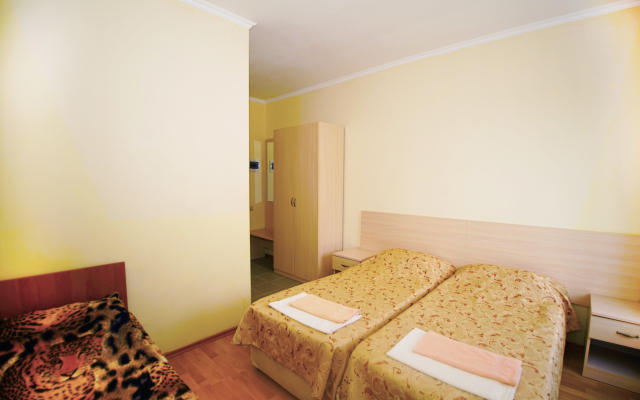 Pushkin Hotel