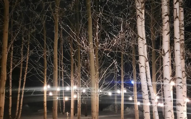 Гостевой дом уютный A-frame Свобода леса