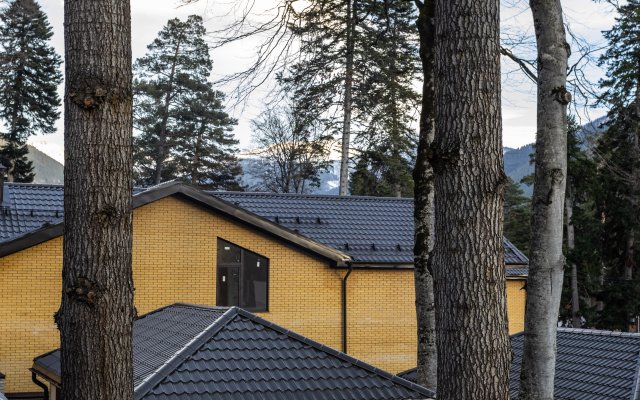 Ski Resort Hotel