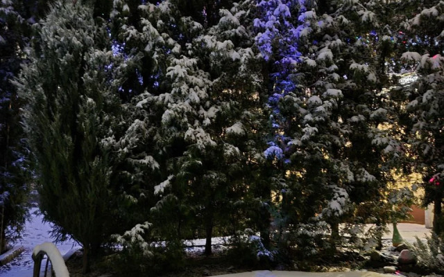 Частный Дом под Липой