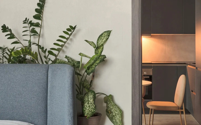 Апартаменты с панорамными окнами в центре Васильевского острова.