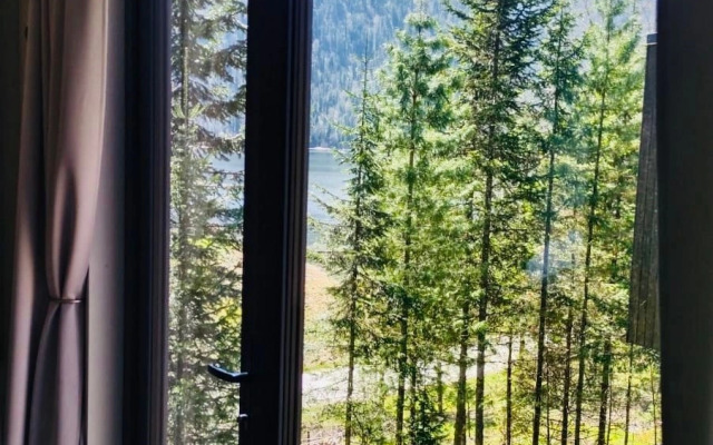 Teletskoye Zolotoye Eco-hotel