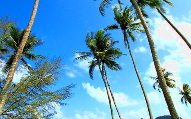 Siam Royal View Apartments