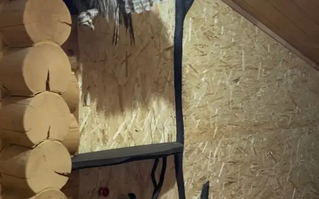 Recreation camp Sinegorye