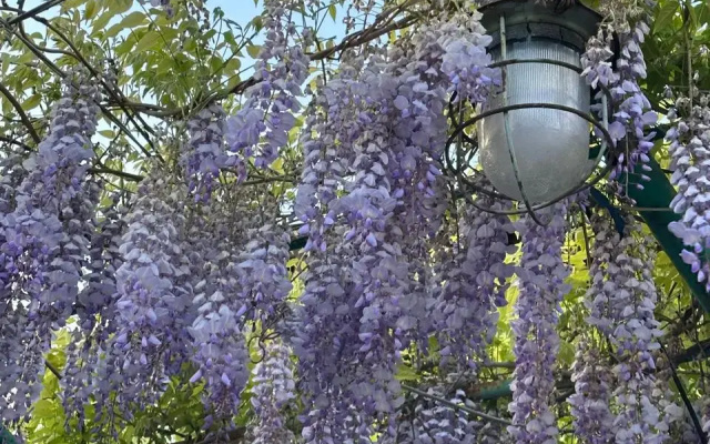 Гостевой дом Ashtarak Garden