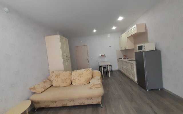 Апартаменты Студия на Светлогорском переулке