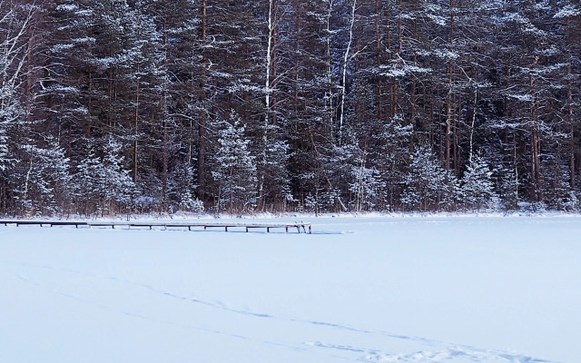 Гостевой дом Уютная Орхидея