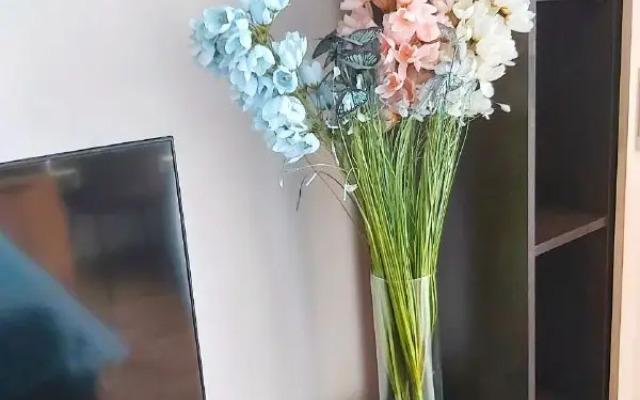 Квартира Воронеж, Россия