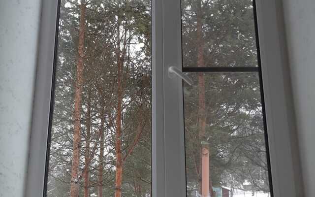 Частный дом Петровское 28