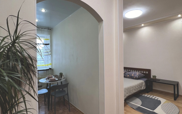 Квартира Большая Однокомнатная