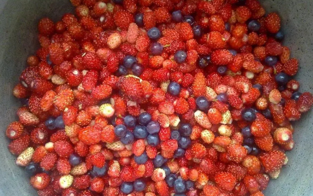 База Отдыха Надеждино