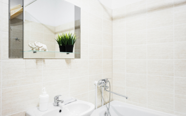 Апартаменты Pashk Inn Artek