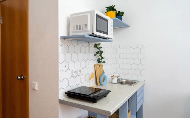 Pushkinskiy Flat 2