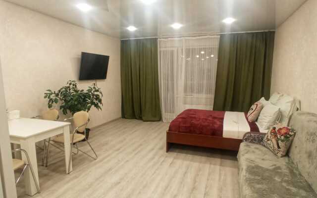 Квартира Татьяны Снежиной 42/1