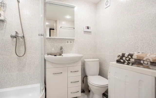 Апартаменты Двухъярусная студия Большая Пушкарская №9