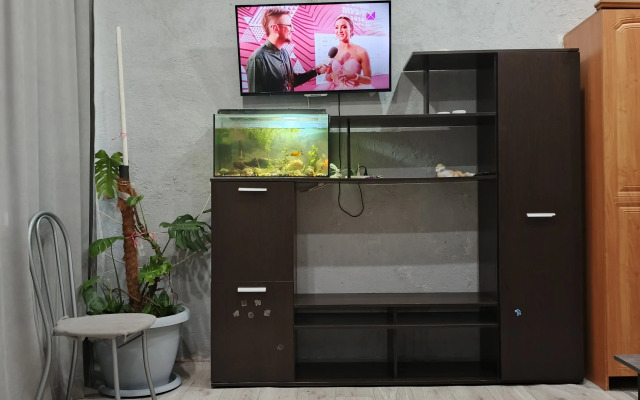 Na zemle v tsentre goroda Flat