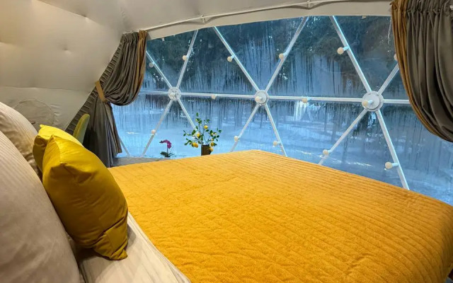 Частный дом Дом-Сфера в Лесу