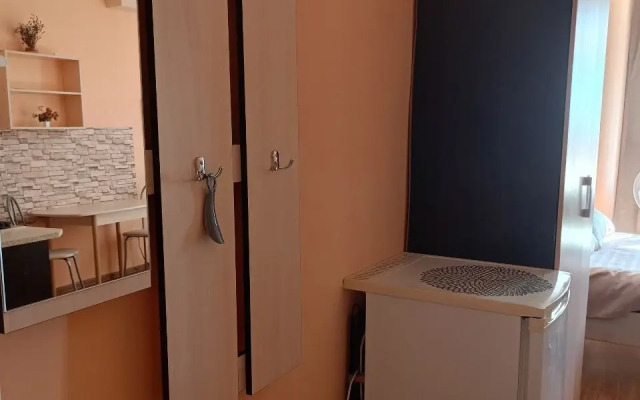Avrora Dvukhmestnye (id 134) Apartment