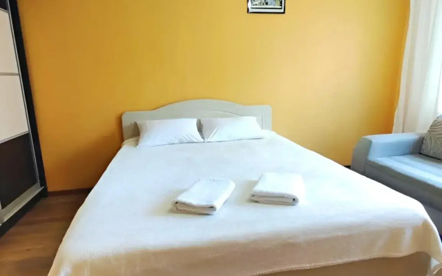 Uyutnaya Svetlaya v Tsentre Flat