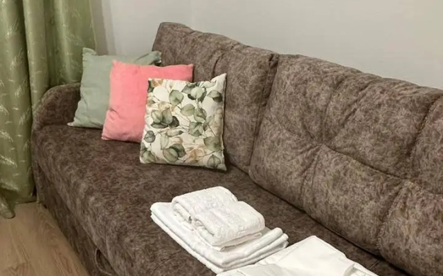 Studiya Okolo Ostrova Mechty I Parka Kolomenskoye Flat