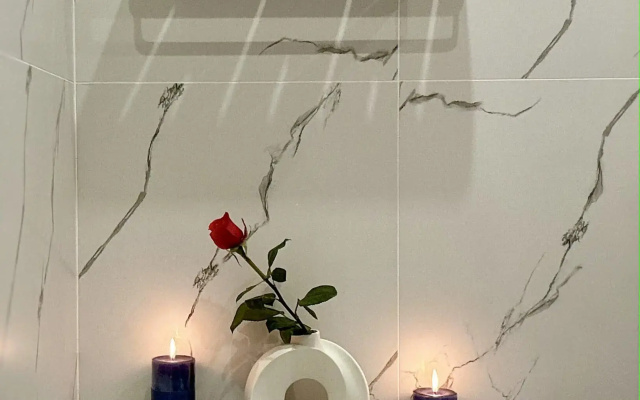Апартаменты Flat in Red Baden Spa