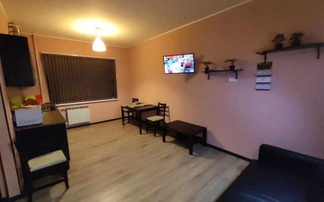 Апартаменты Однушки на Олимпийской 89