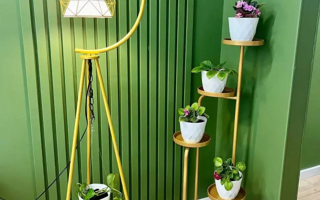 Green chill House Flat