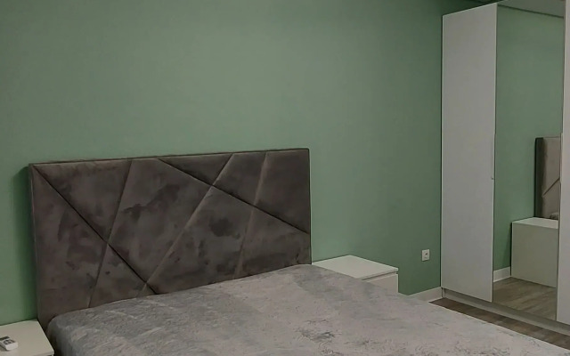 Vidovaya V Tsentre Flat