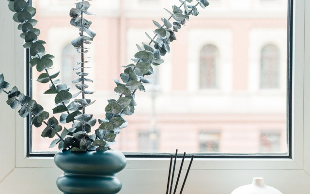 Апартаменты ApartH Deluxe с кухней и видом на Неву