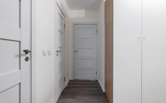 Vidovaya Na Yelizarovskoy Flat