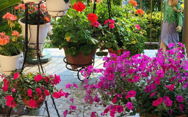 Меблированные комнаты Аэлита