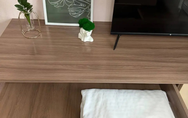 Studiya V Novom Dome Flat