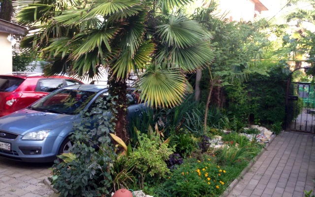 Okeanik Guest house