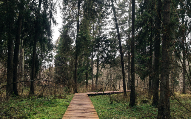Шале Панорамный дом в лесу на Живописной улице