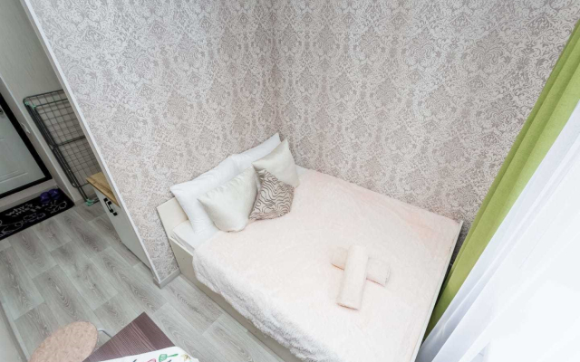 Milaya Studiya V Tsentre Apartments