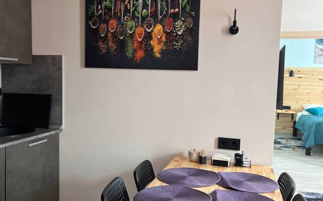 Apartamenty Shteyn 2