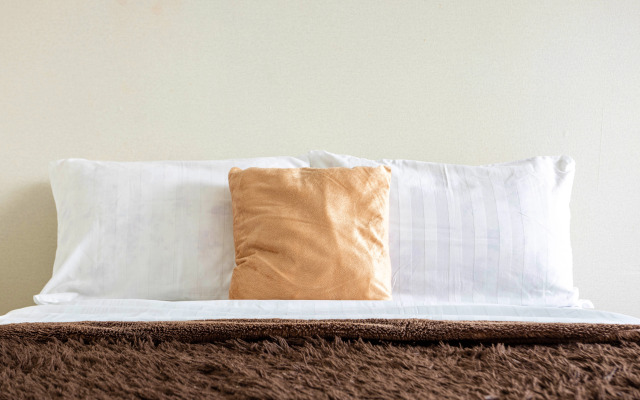 Апартаменты Маршала Мерецкого,20