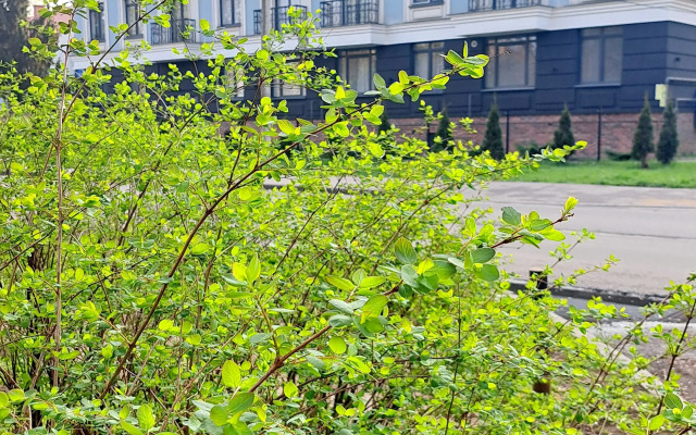 Na Narvskoy Flat