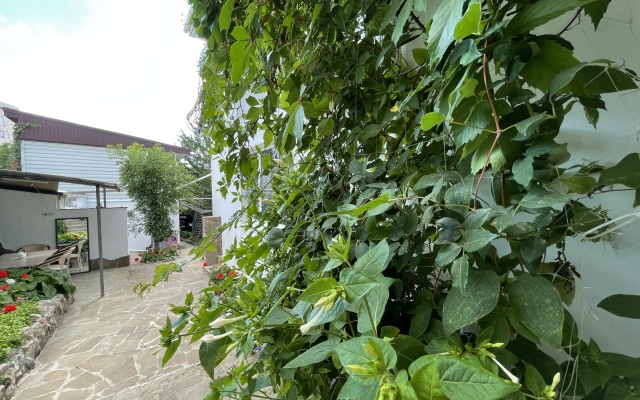 Nikol Guest House