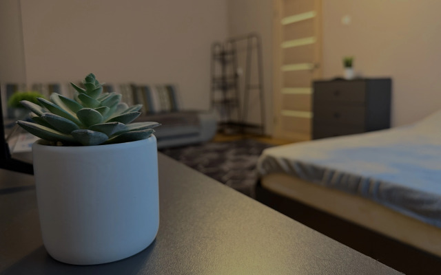 Апартаменты Уютные  двухкомнатные на площади Горького